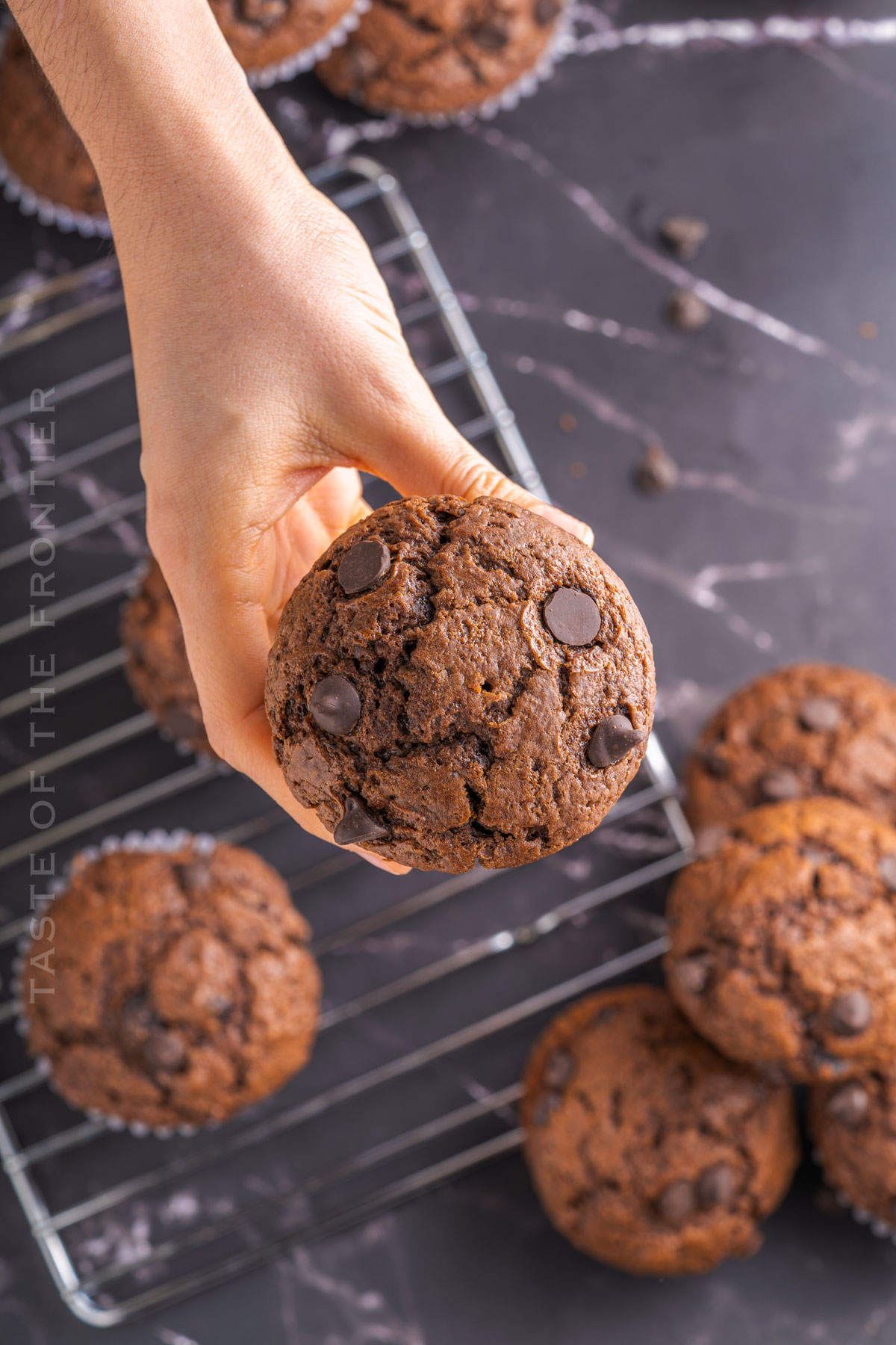 chocolate muffin with chocolate chips