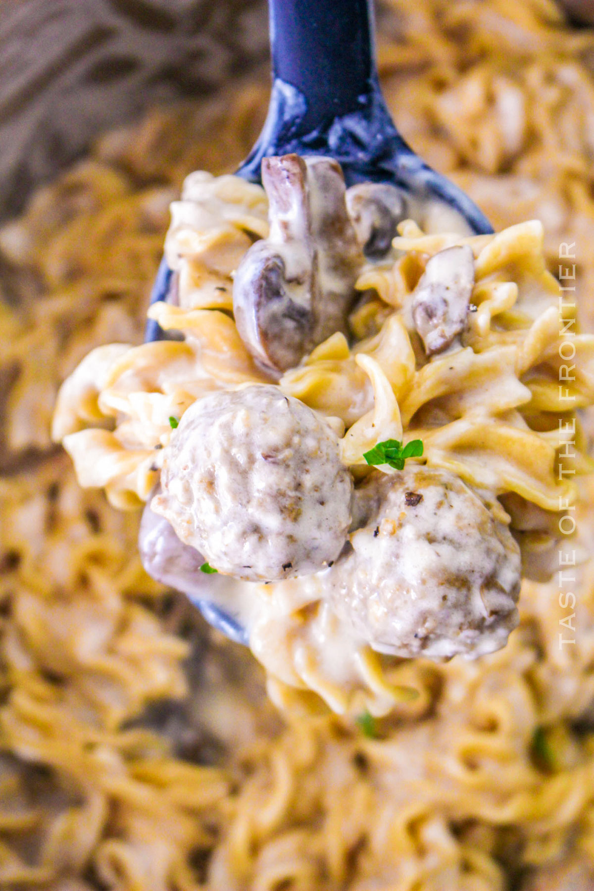 meatball and egg noodle dinner