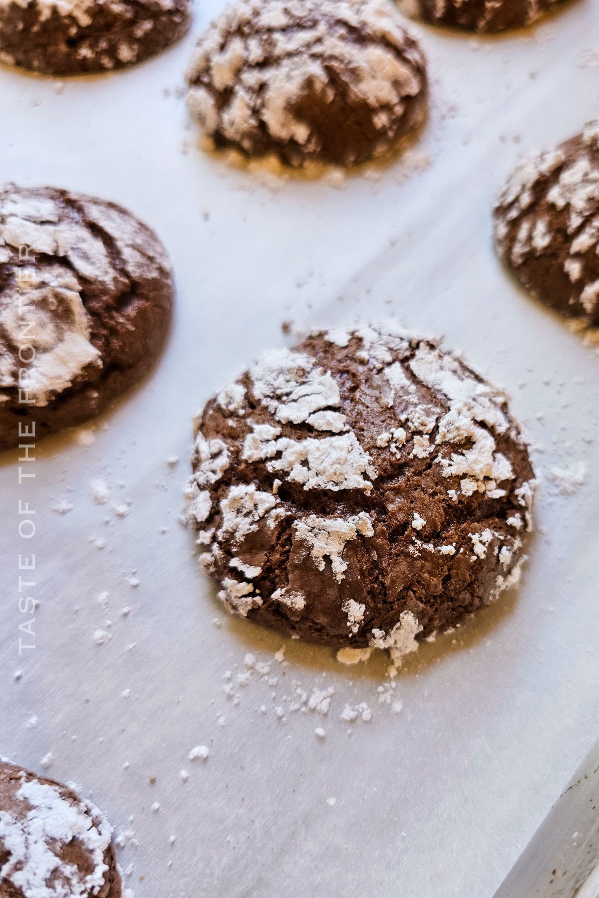 baked chocolate cookies with sugar coating