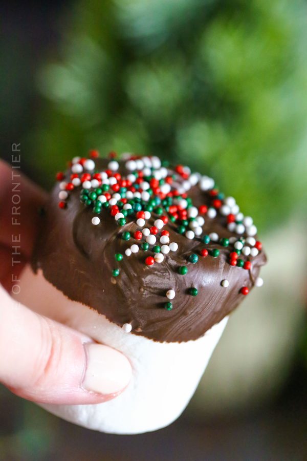 Chocolate Dipped Marshmallows