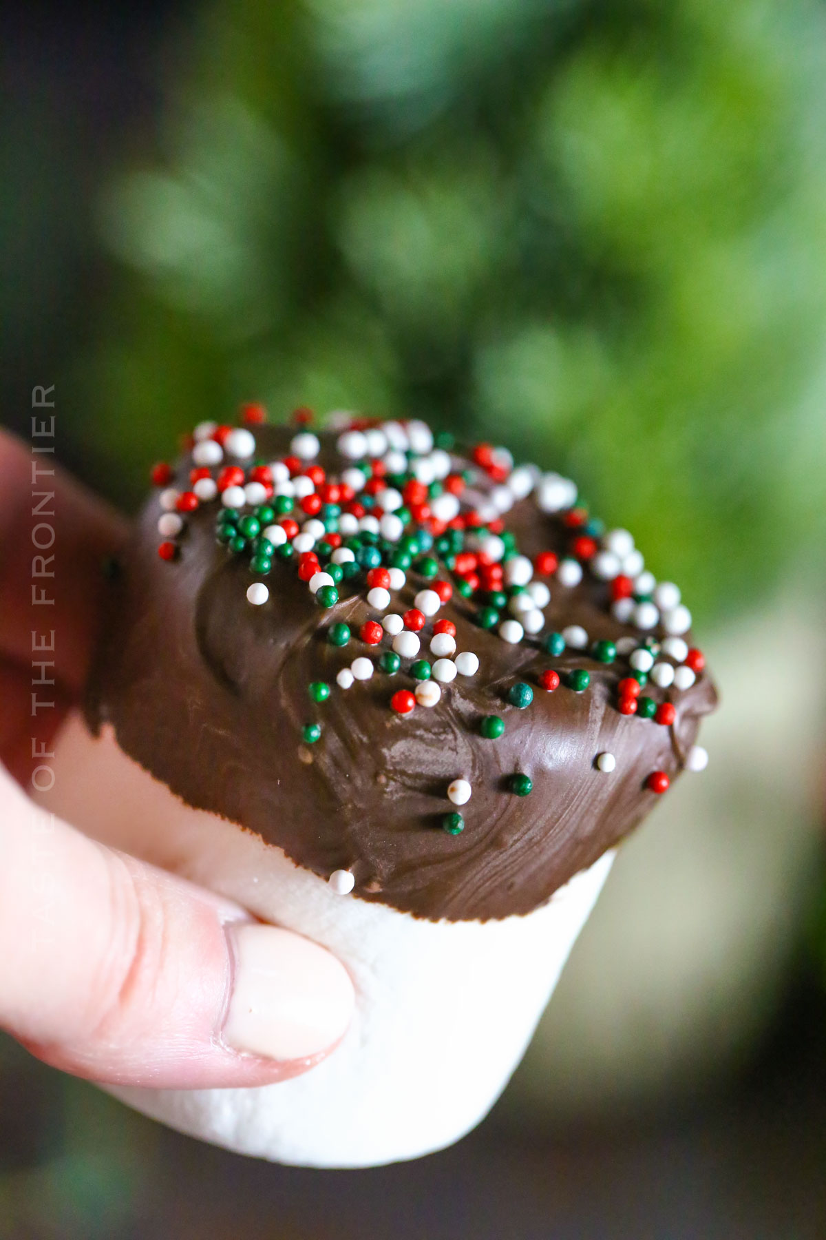 Chocolate Dipped Marshmallows