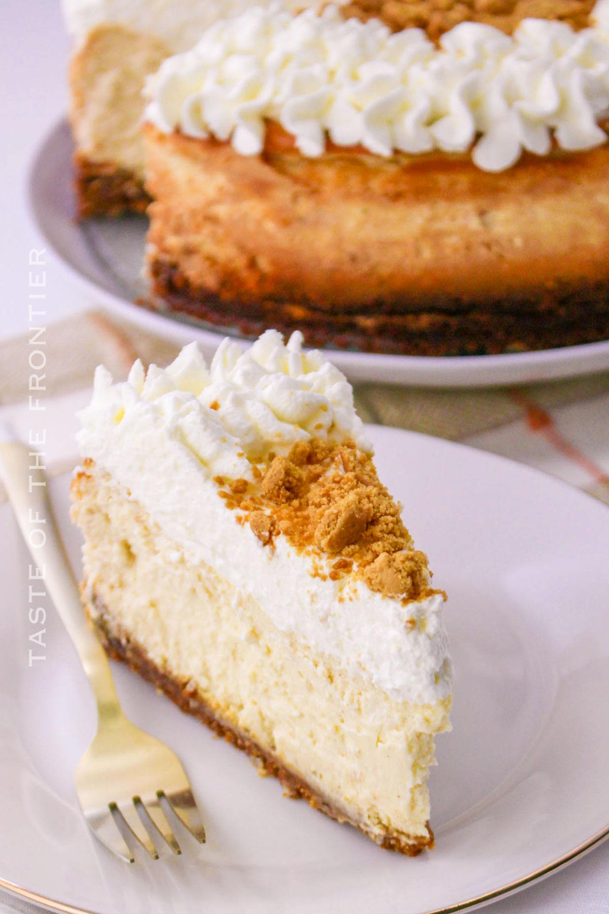 slice of cheesecake with gingersnap crust