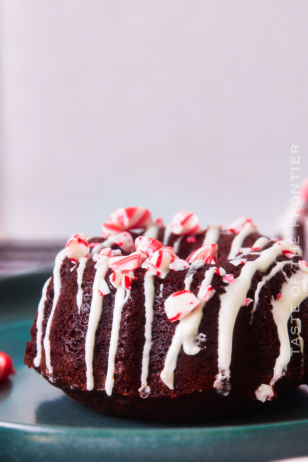 Mini Gingerbread Bundt Cakes - Sprinkle Bakes