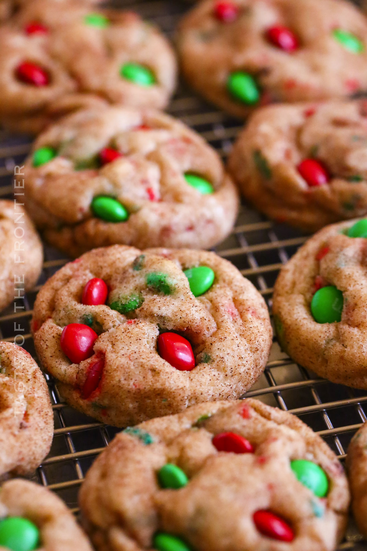 baked cinnamon cookies