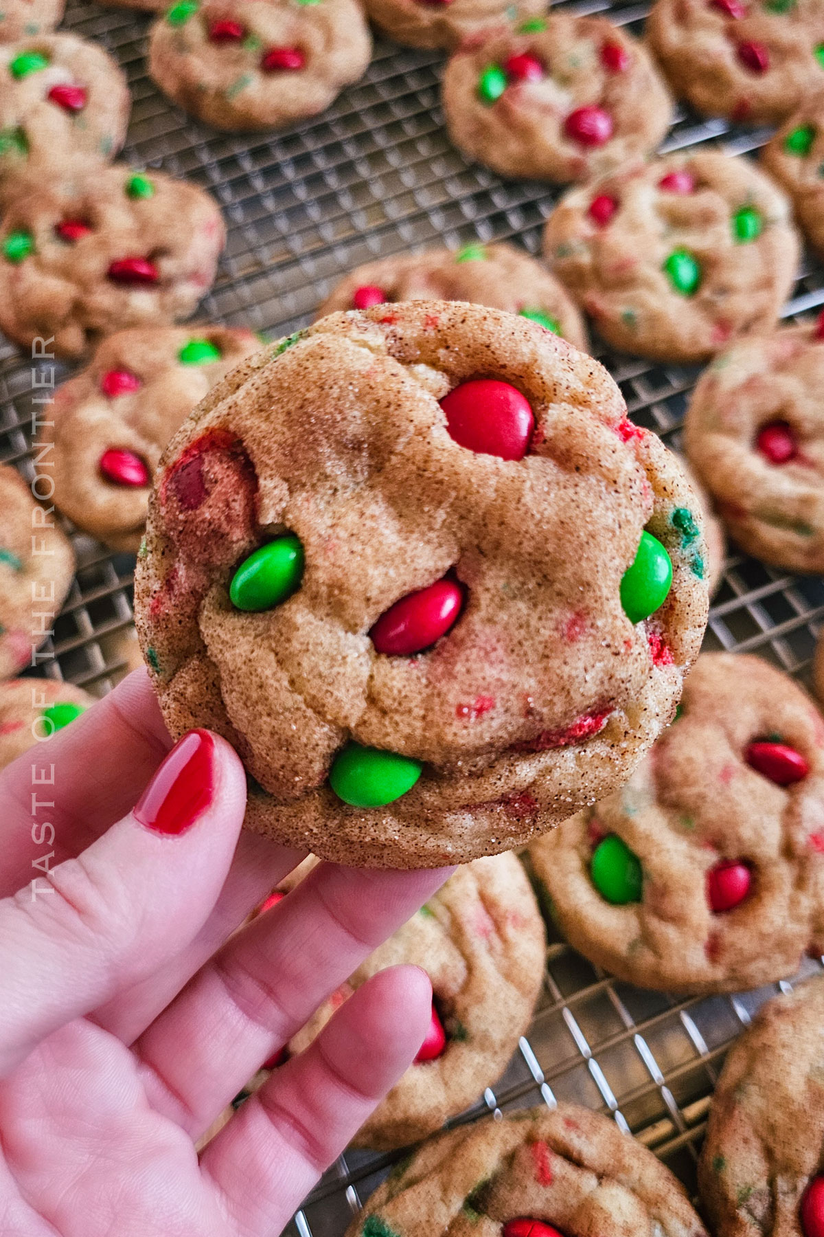 Christmas Cheesecake Snickerdoodle recipe