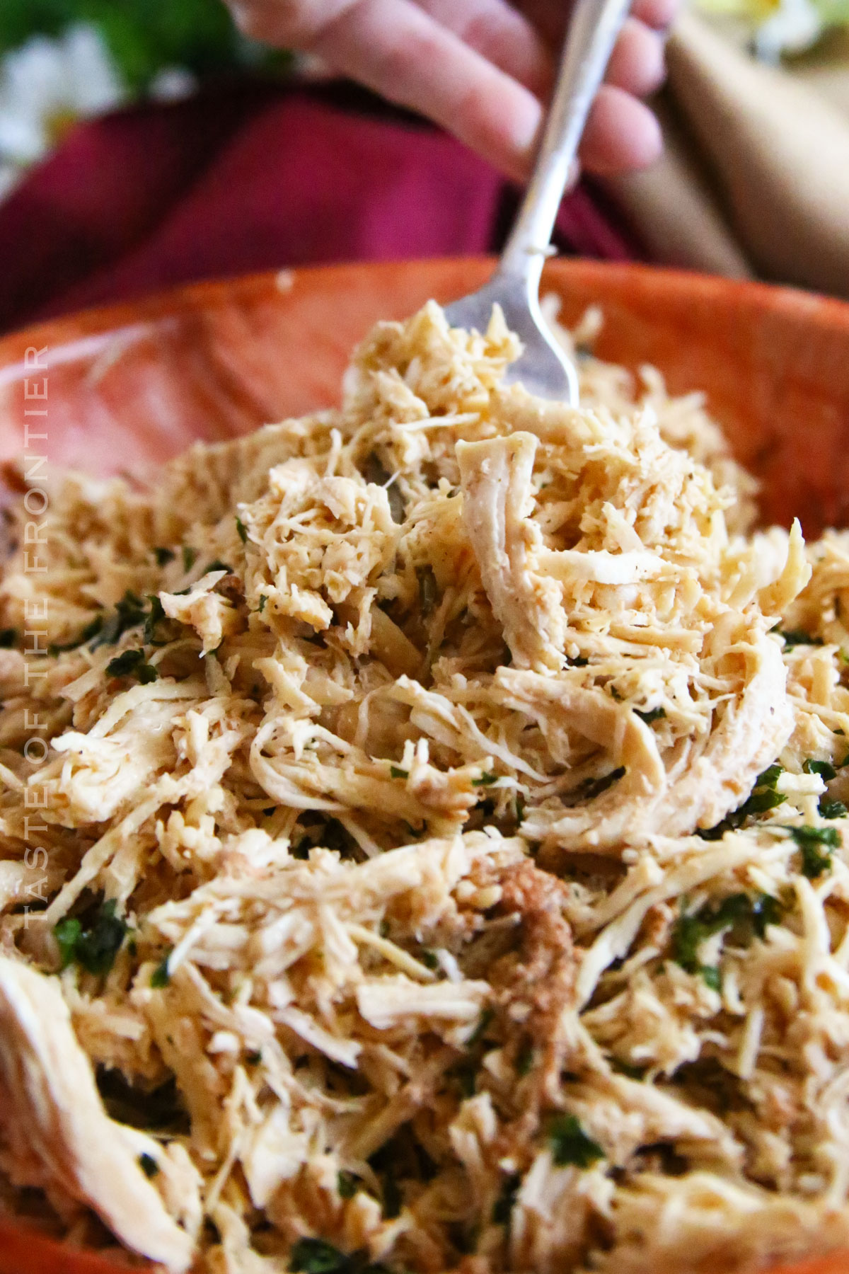 Instant Pot Shredded Chicken recipe