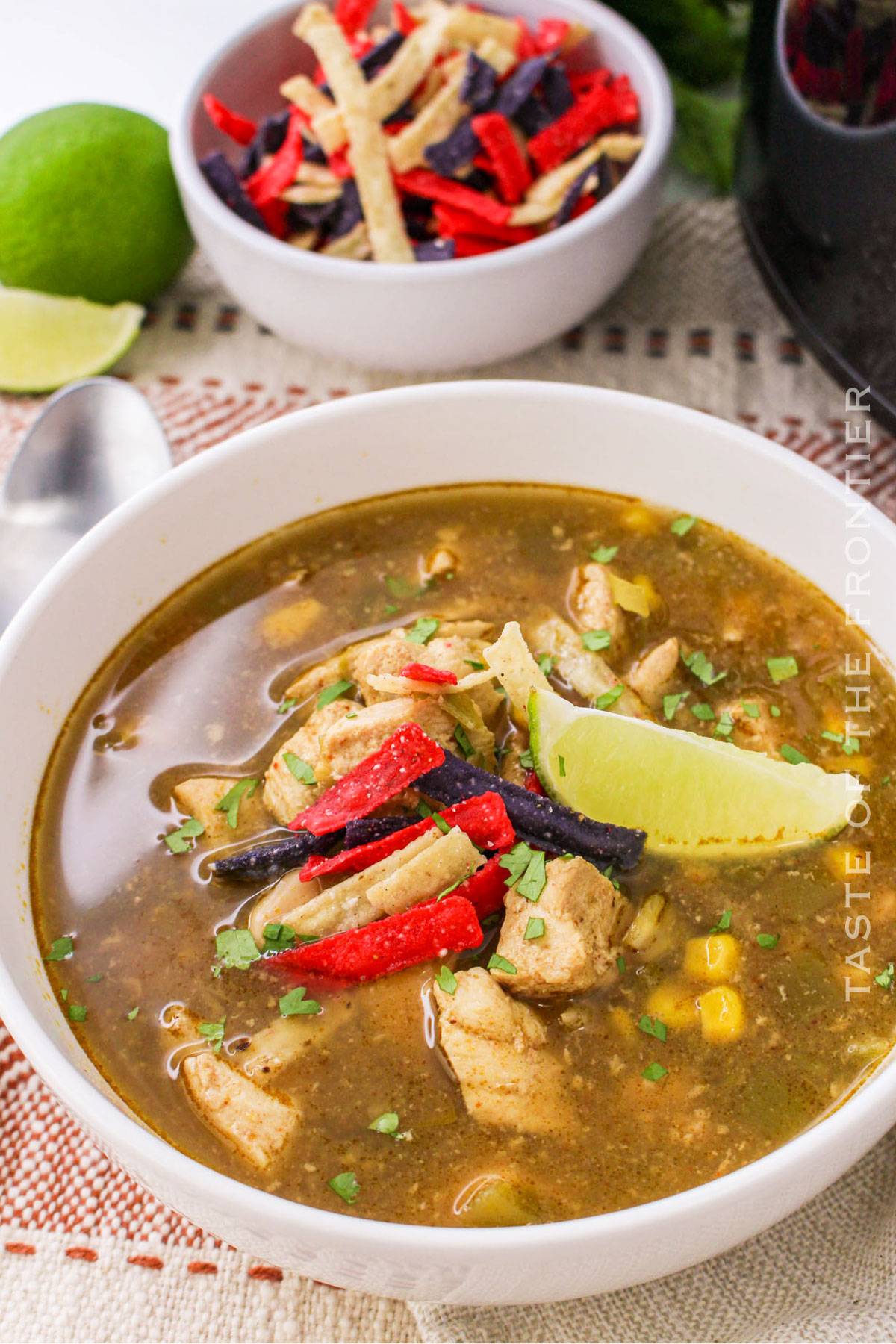 Green Chile Chicken Soup recipe