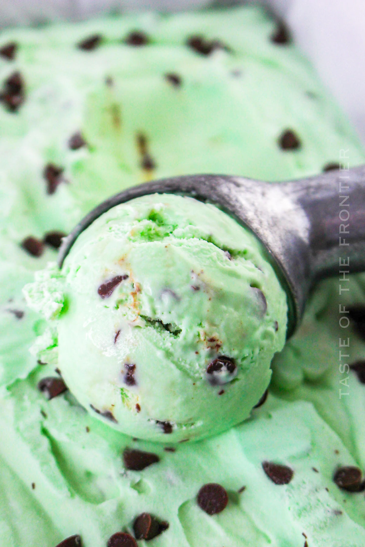 Grasshopper Ice Cream