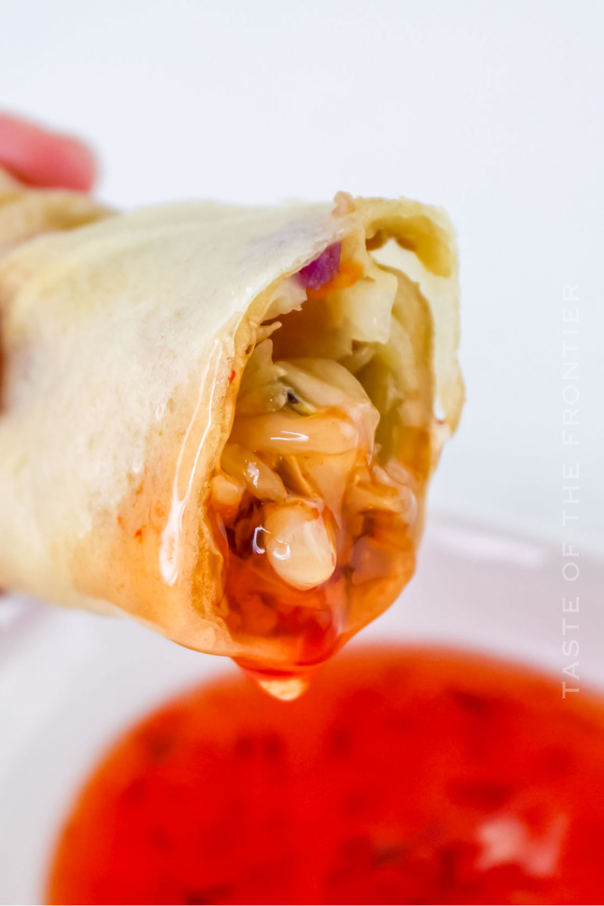 Air Fryer Spring Rolls