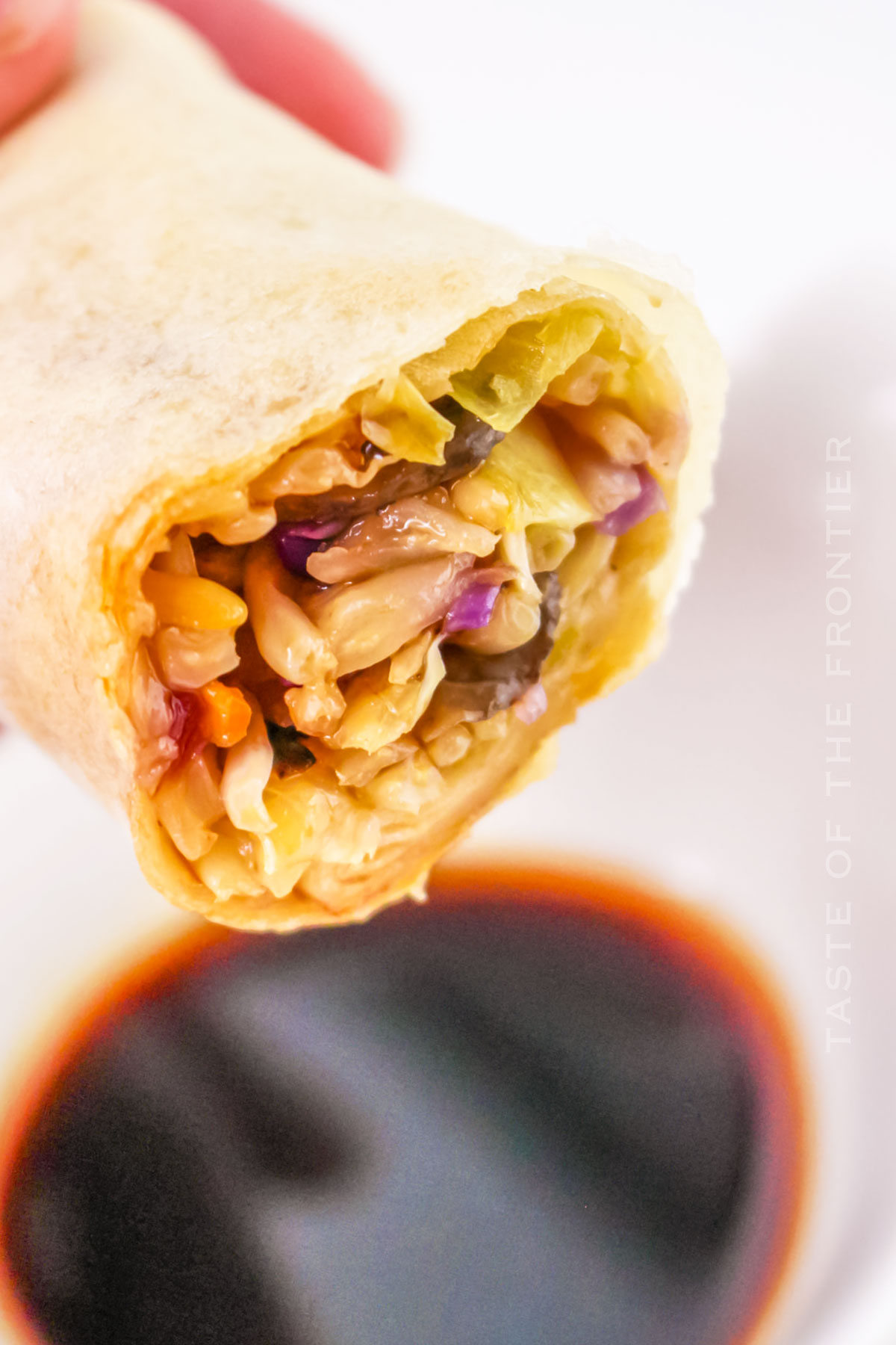 Air Fryer Spring Roll recipe