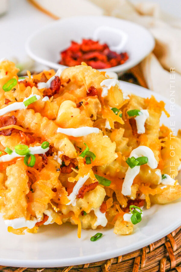 Loaded Fries