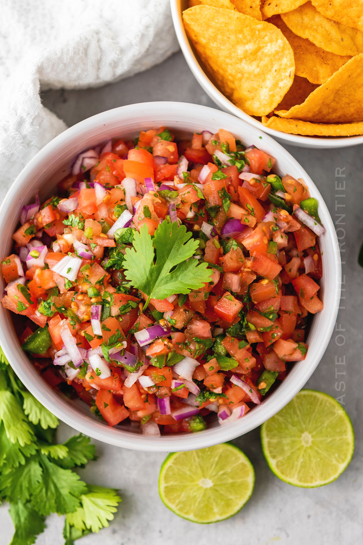 salsa appetizer