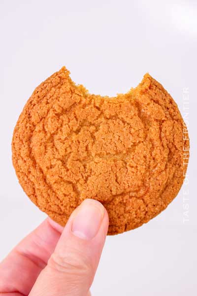 Chocolate Chipless Cookies - Yummi Haus