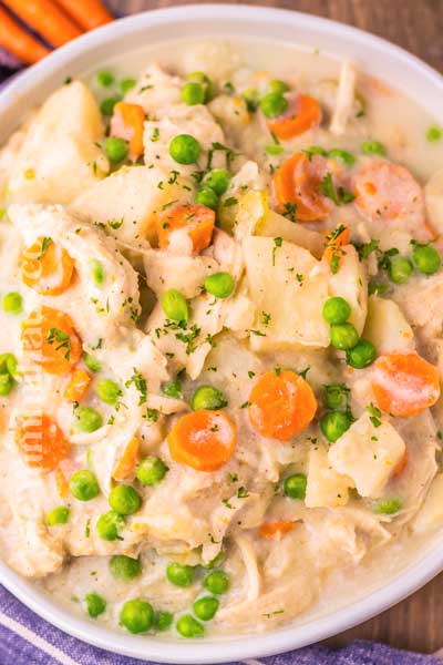 Slow Cooker Chicken Stew - Yummi Haus