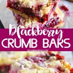 Blackberry Crumb Bars