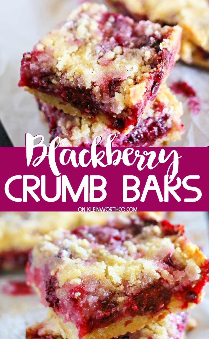 Blackberry Crumb Bars