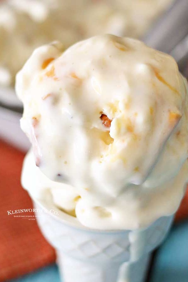 easy dessert recipe - Salted Caramel Pretzel Ice Cream
