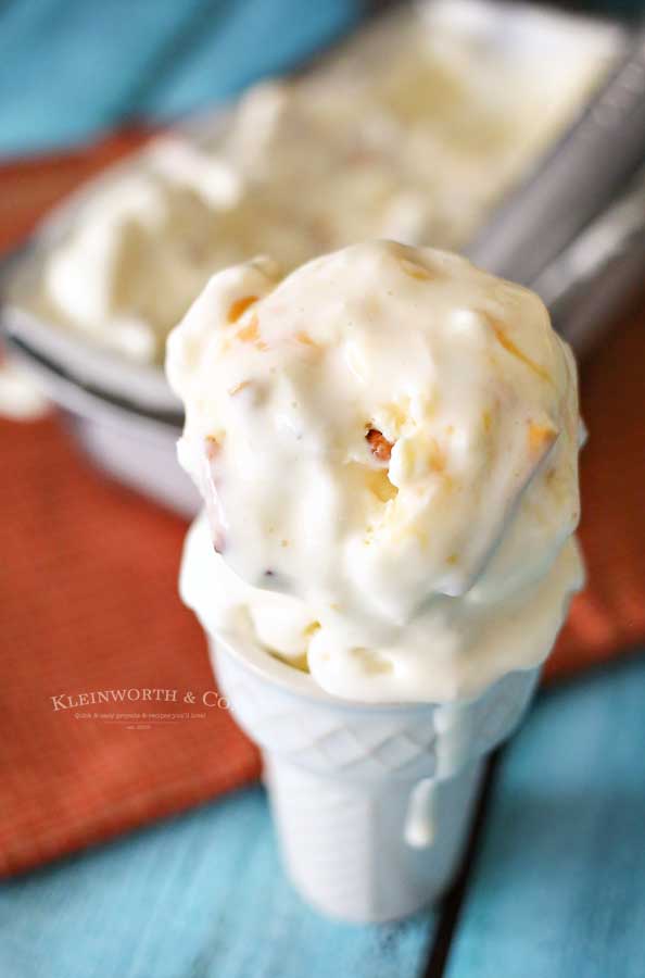 frozen dessert - Salted Caramel Pretzel Ice Cream