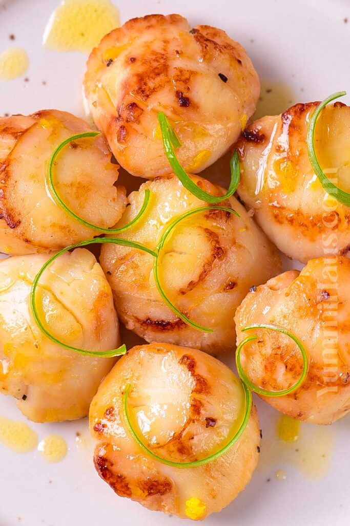 Seared Scallops Recipe