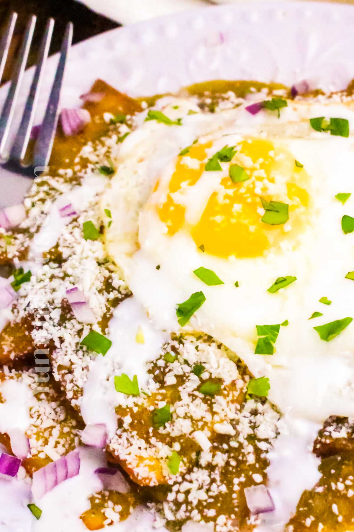add the egg on top