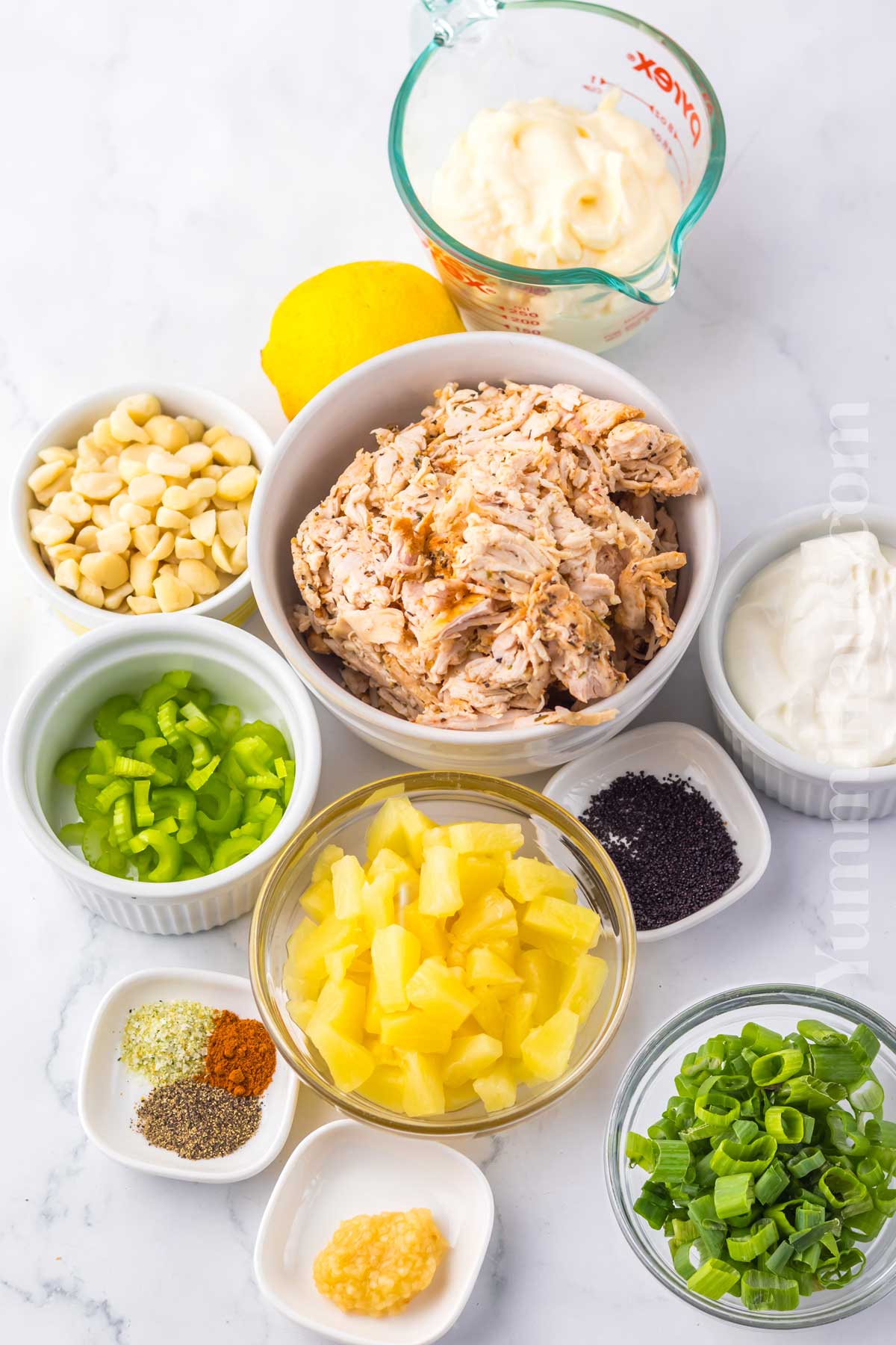 Hawaiian Chicken Salad ingredients