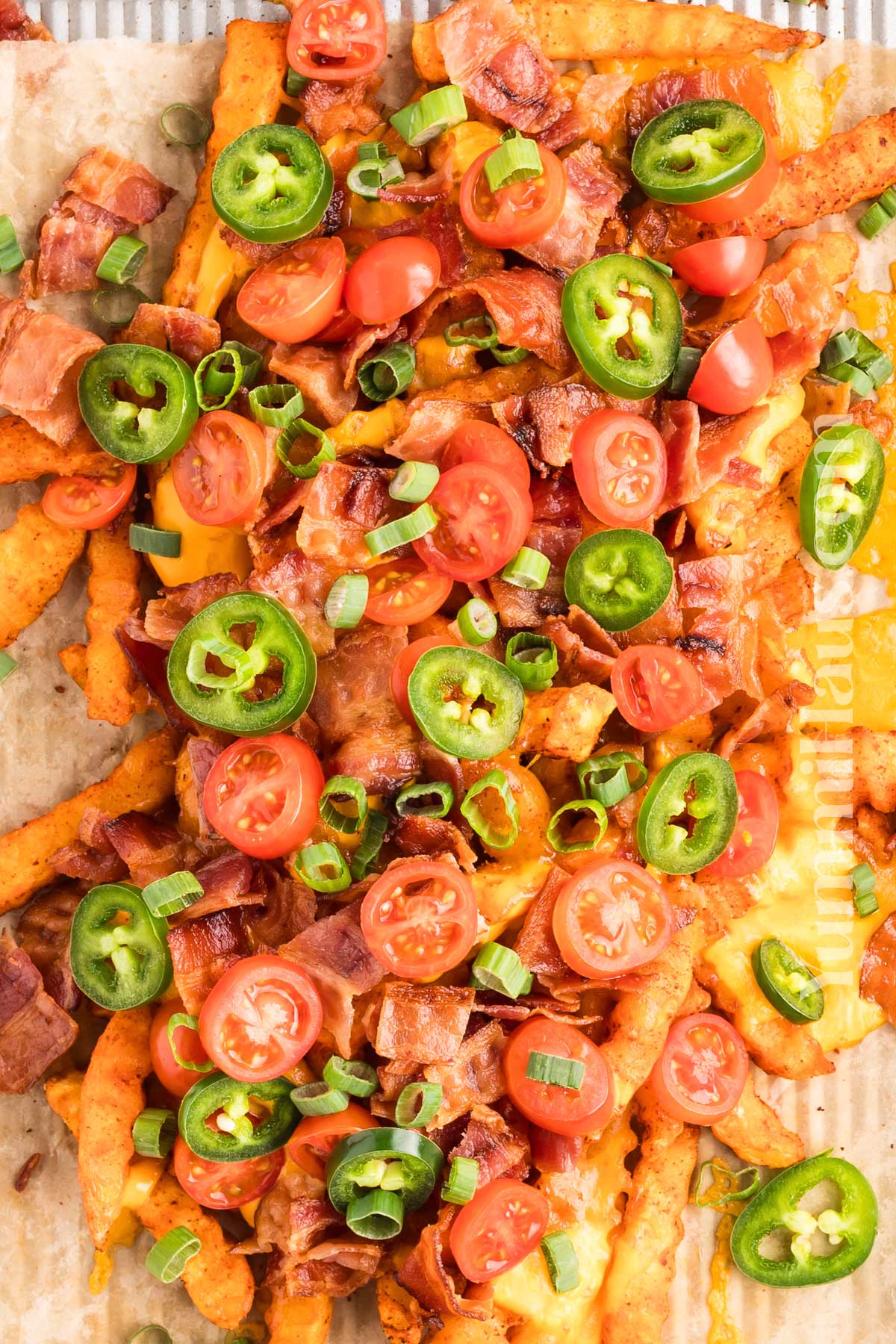 Loaded French Fries
