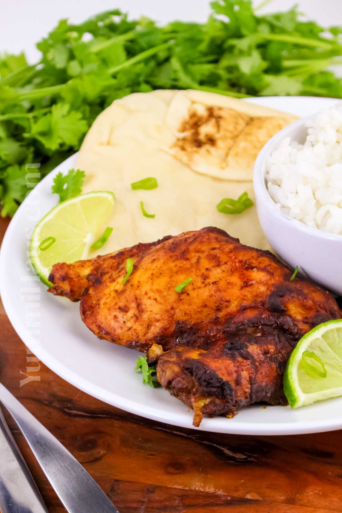 Indian food - chicken dinner