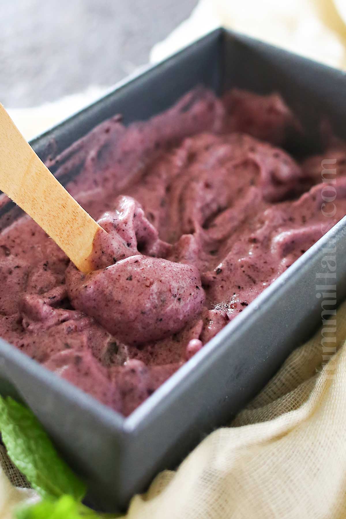3 ingredient Blueberry Ice Cream
