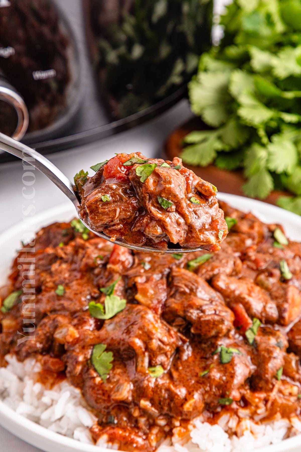 Slow Cooker Curry Beef