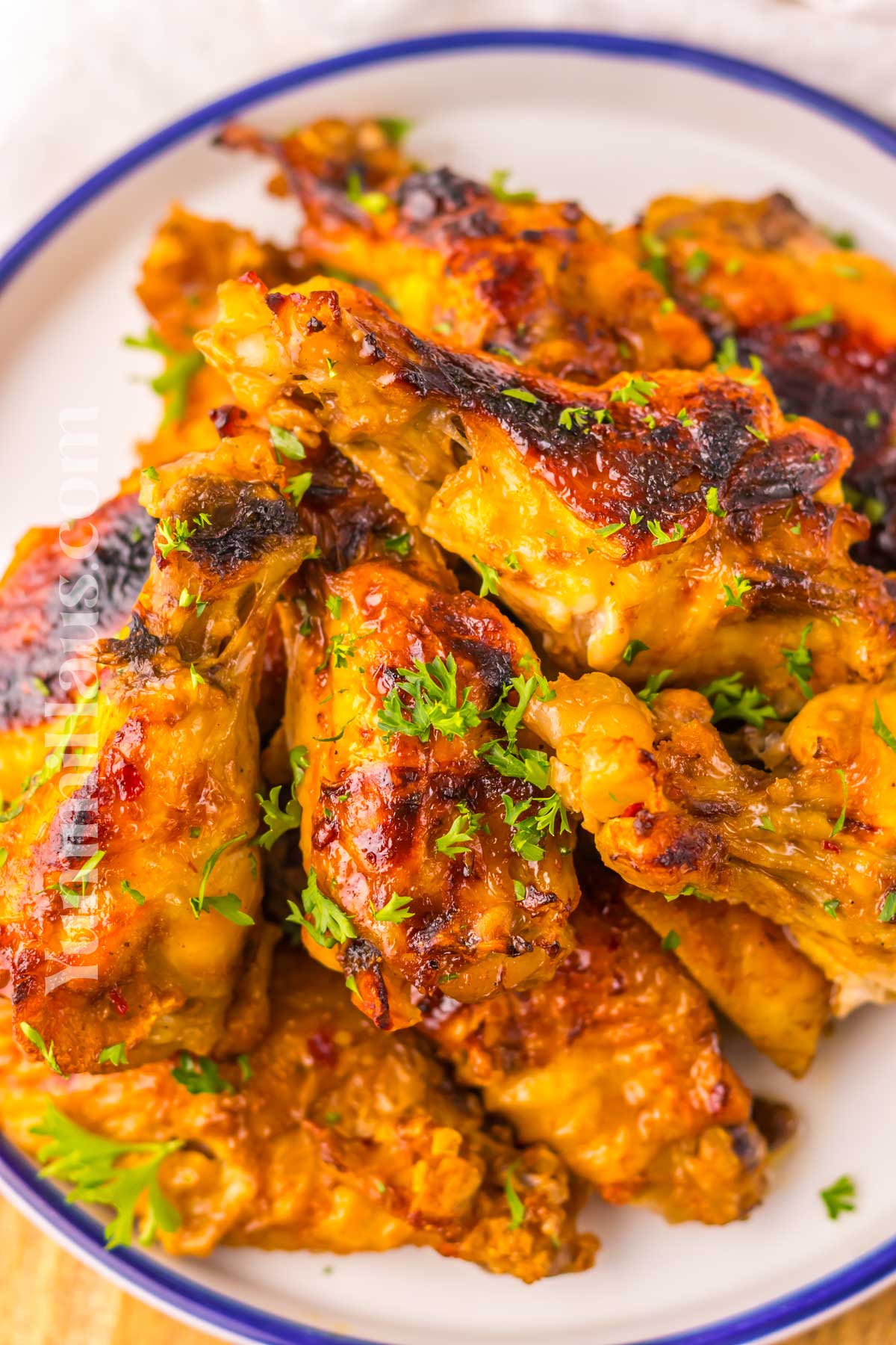 Slow Cooker Chicken Wings recipe