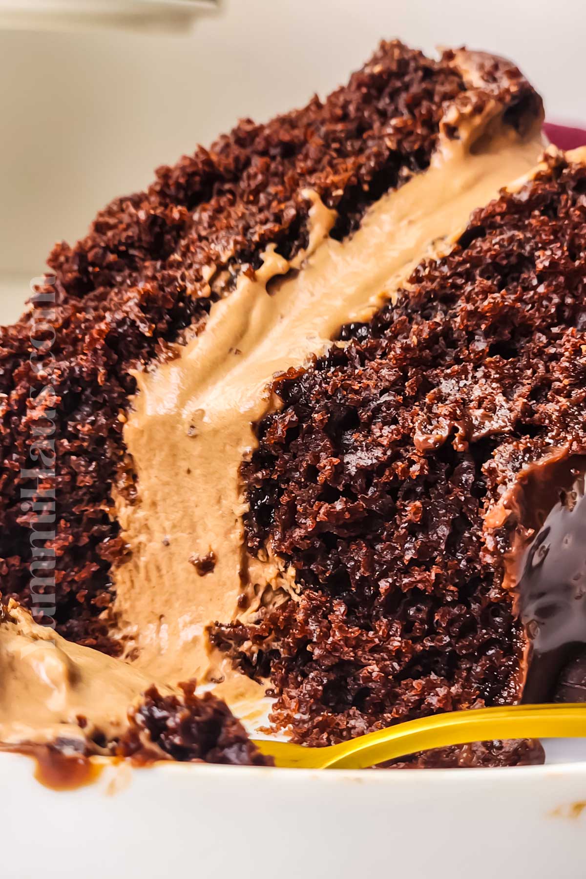 Chocolate Mousse Cake