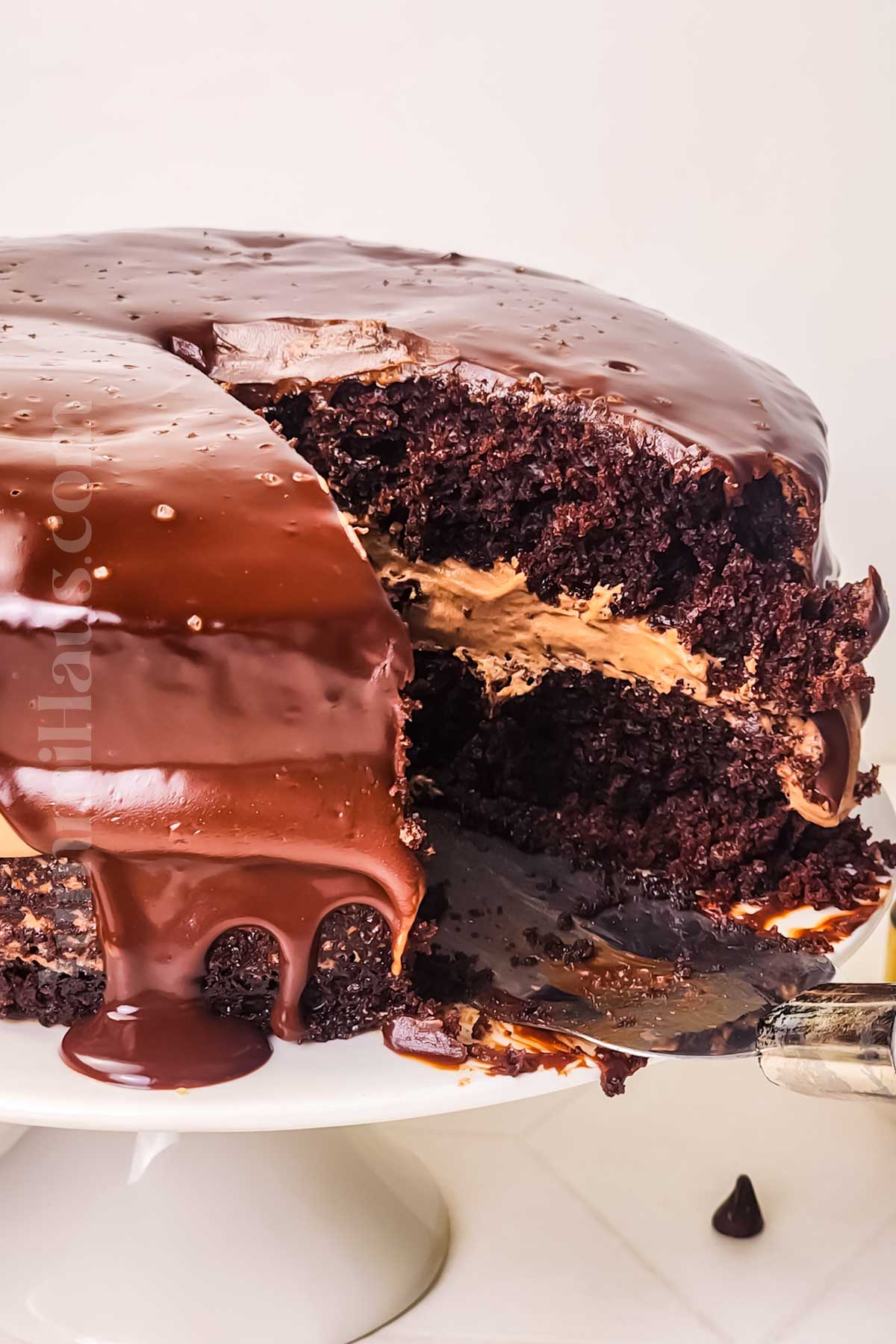 Chocolate Mousse Cake recipe