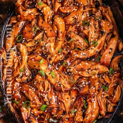 Slow Cooker Teriyaki Chicken