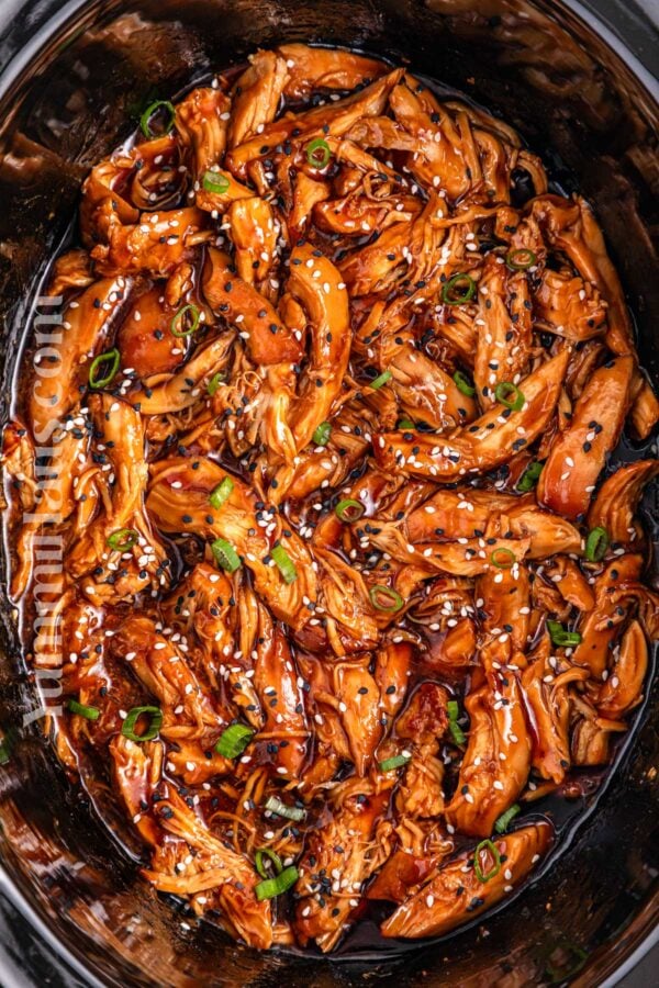 Slow Cooker Teriyaki Chicken