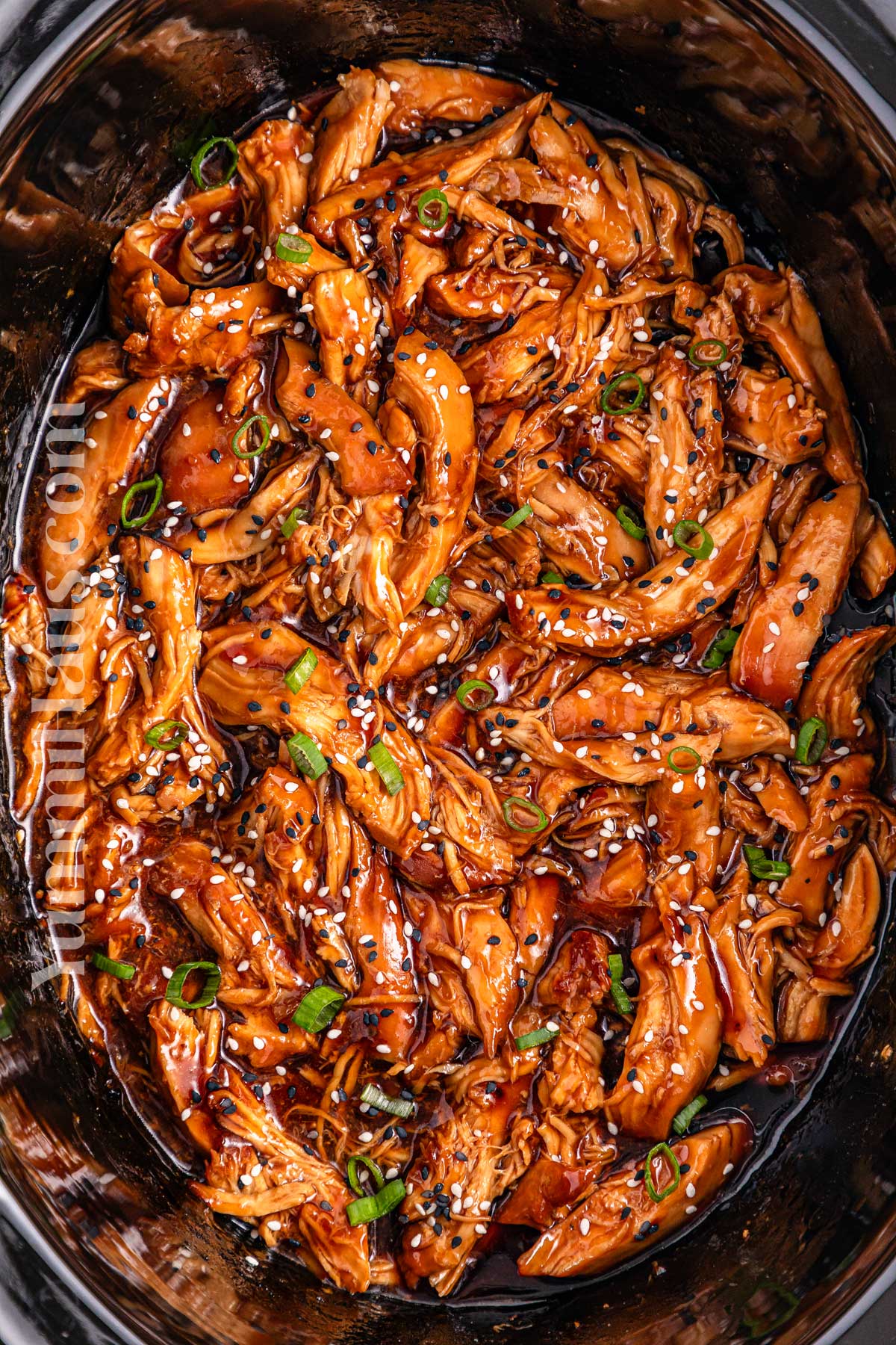 Slow Cooker Teriyaki Chicken