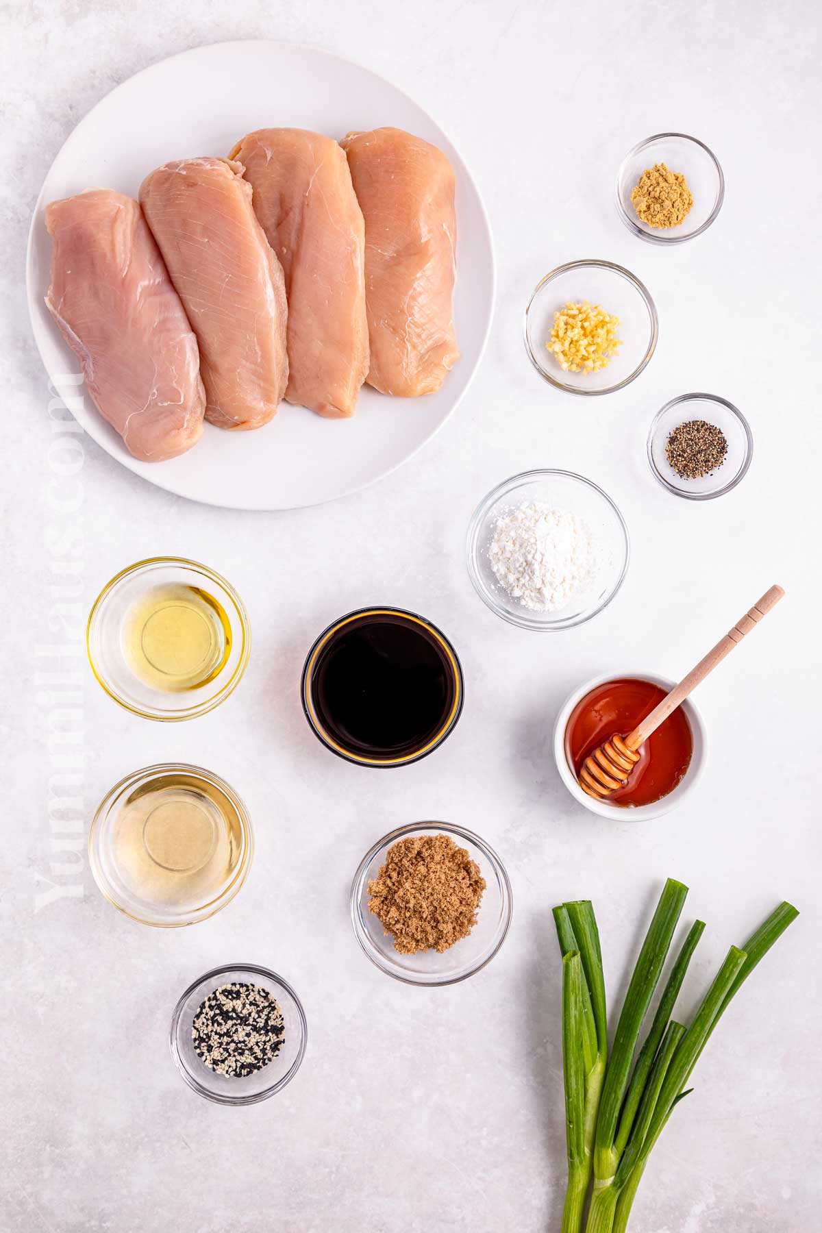 Slow Cooker Teriyaki Chicken ingredients