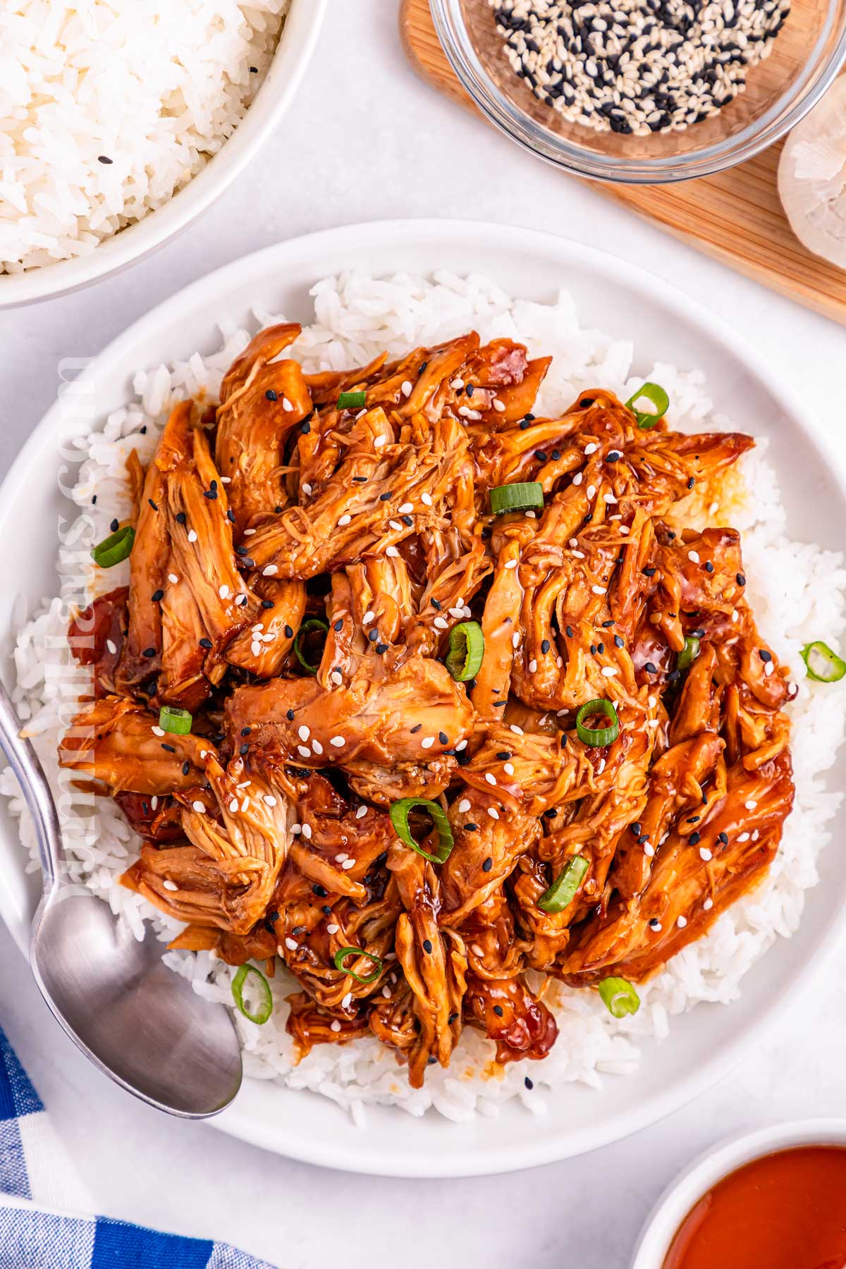 Slow Cooker Teriyaki Chicken recipe