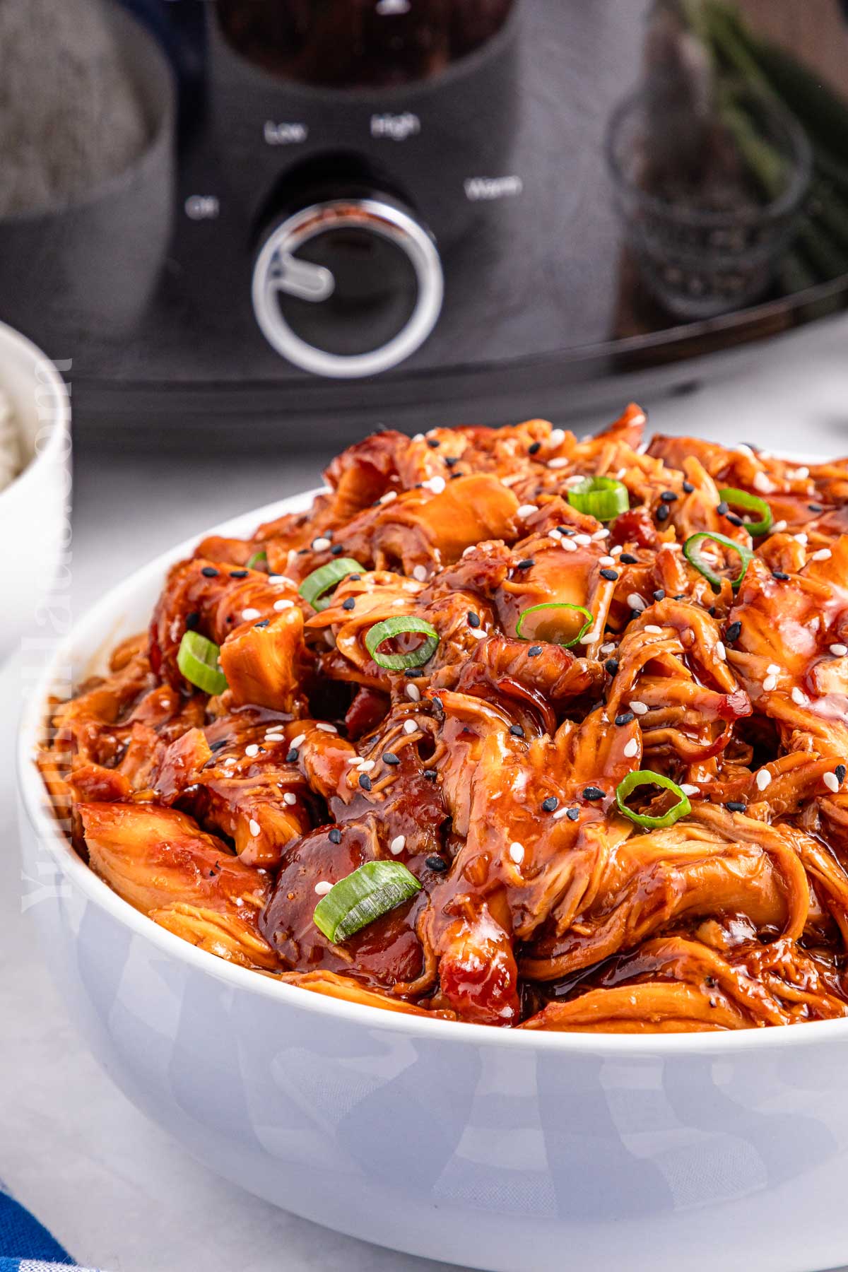Crockpot Teriyaki Chicken