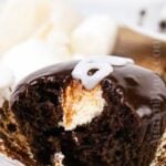Hostess Chocolate Cupcakes