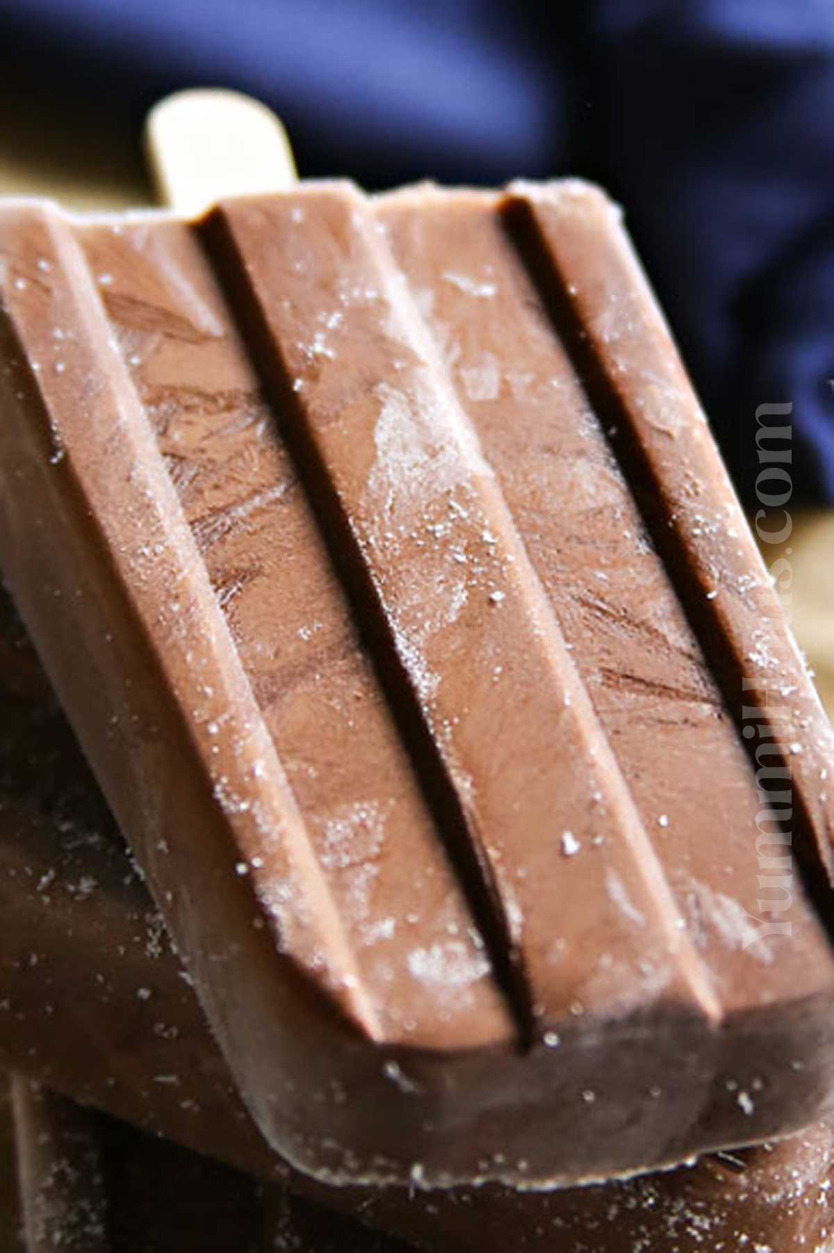 Dairy-Free Fudge Pops
