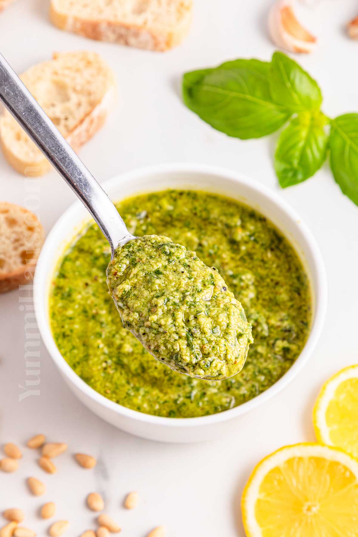 basil sauce for pasta