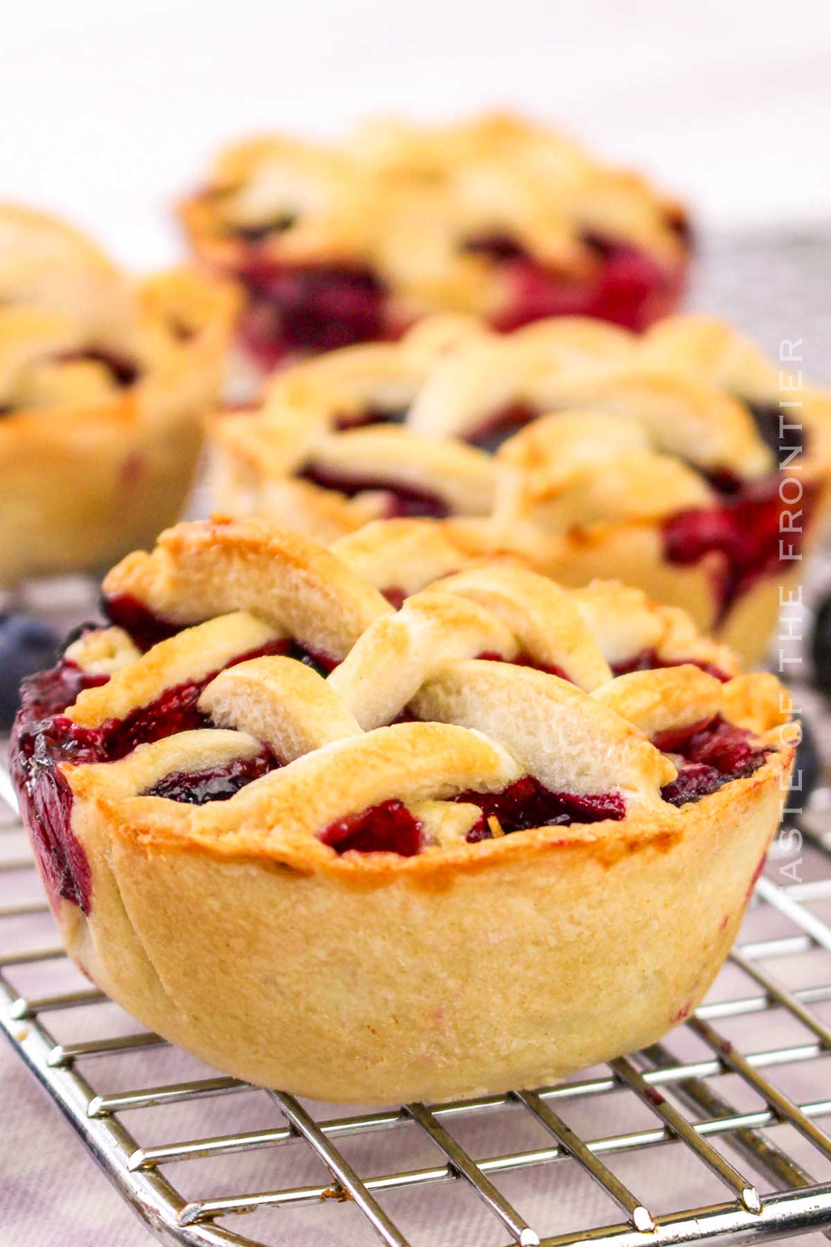 mini summer dessert