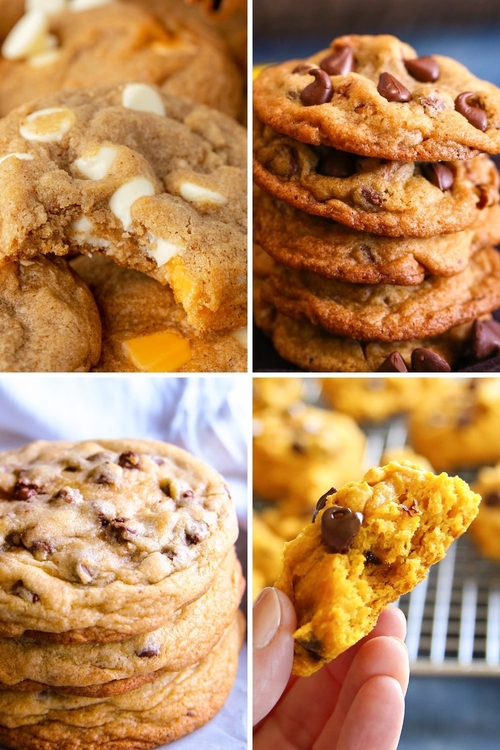 17 Fall Chocolate Chip Cookies