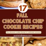 17 Fall Chocolate Chip Cookies