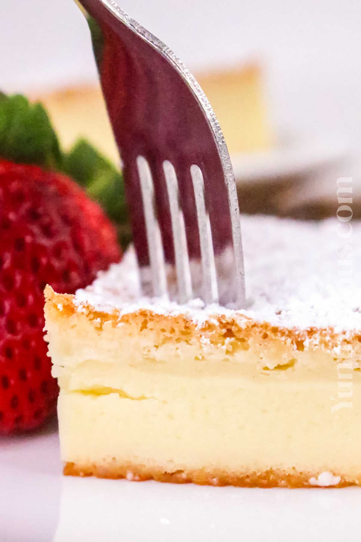 custard dessert