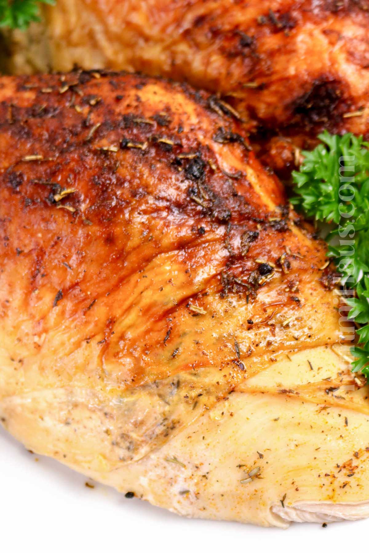 Thanksgiving dinner recipe