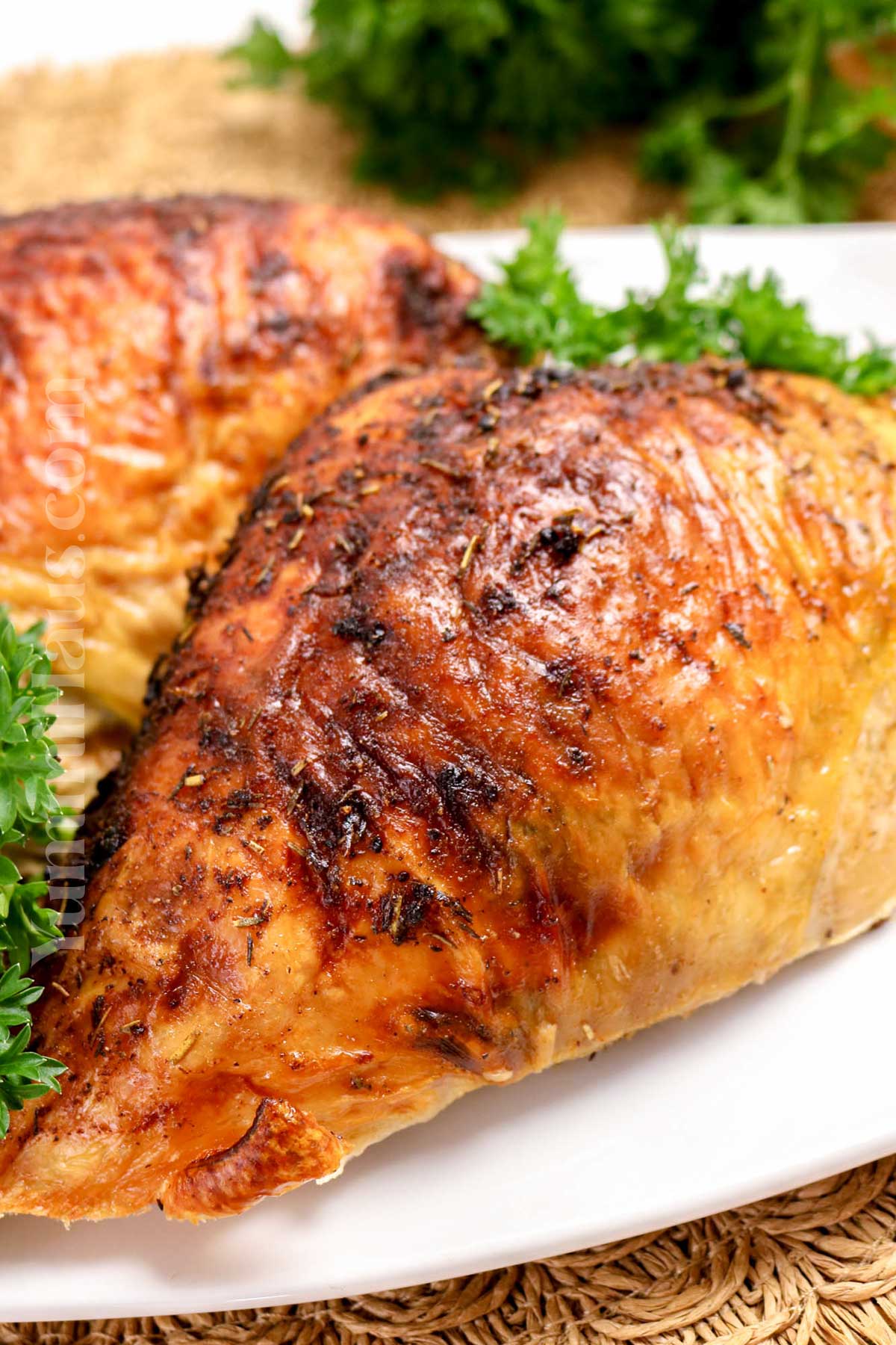 holiday turkey recipe