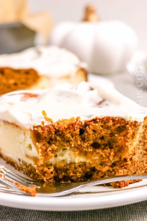 Pumpkin Cake Cheesecake