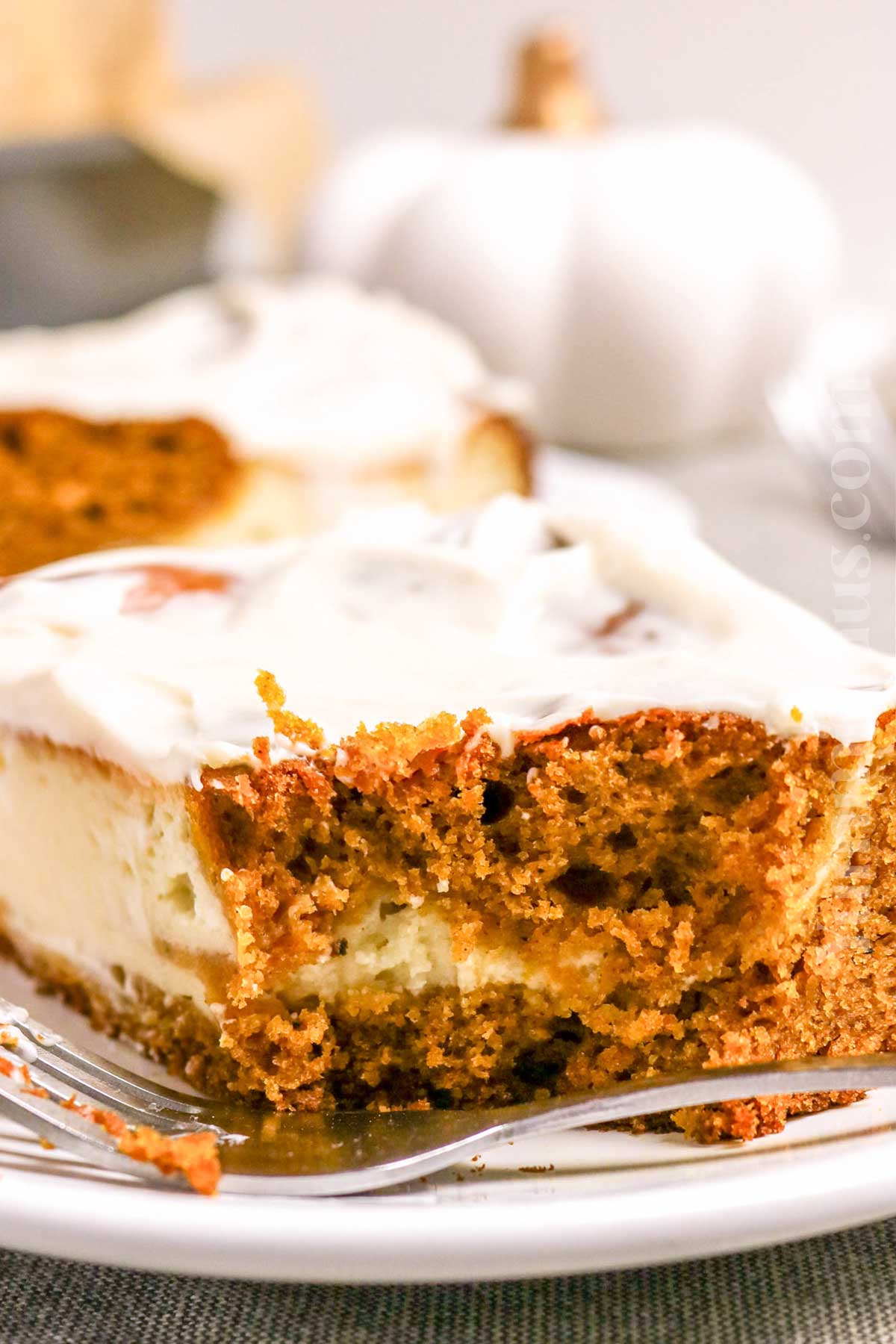 Pumpkin Cake Cheesecake