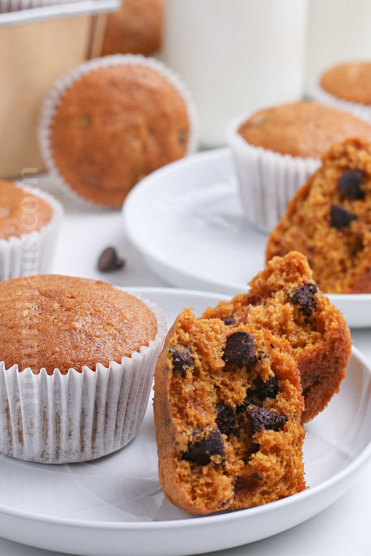 Pumpkin Chocolate Chip Muffins